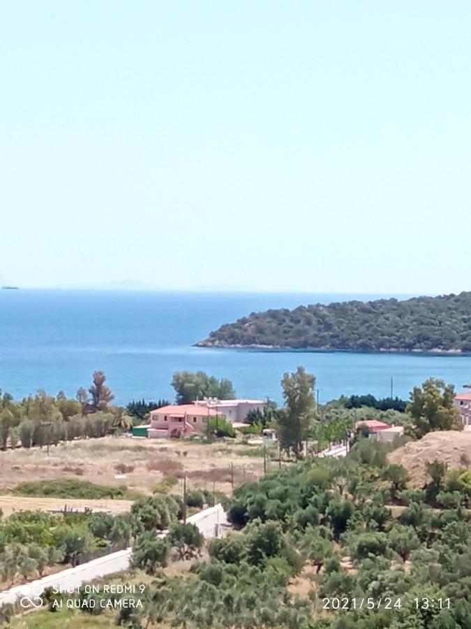 Villas Guest House Vathí Dış mekan fotoğraf
